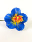 HIBISCUS AULELEI SEI
