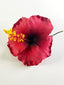 LARGE HIBISCUS SEI
