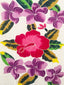 NEMIA RARO LAVALAVA/SARONG