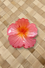 AUTE HIBISCUS HAIR CLIP