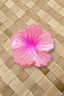 AUTE HIBISCUS HAIR CLIP