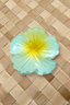AUTE HIBISCUS HAIR CLIP