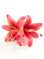 APIKALIA DOUBLE LILY HAIR PIN