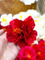 DOUBLE MOON HIBISCUS