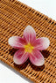PUA FRANGIPANI HAIR CLIP
