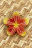 PUA FRANGIPANI HAIR CLIP