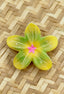 PUA FRANGIPANI HAIR CLIP