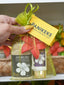 ISLAND HOPPING GIFT SET