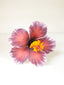 LAVEA HIBISCUS SEI