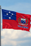 TOA SAMOA MEDIUM FLAG
